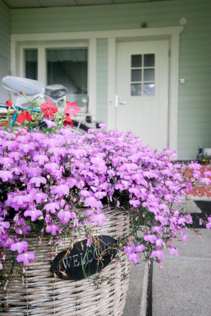 valkoinen 6 ruutuinen ulko-ovi pystyura kuviolla ja kukkia