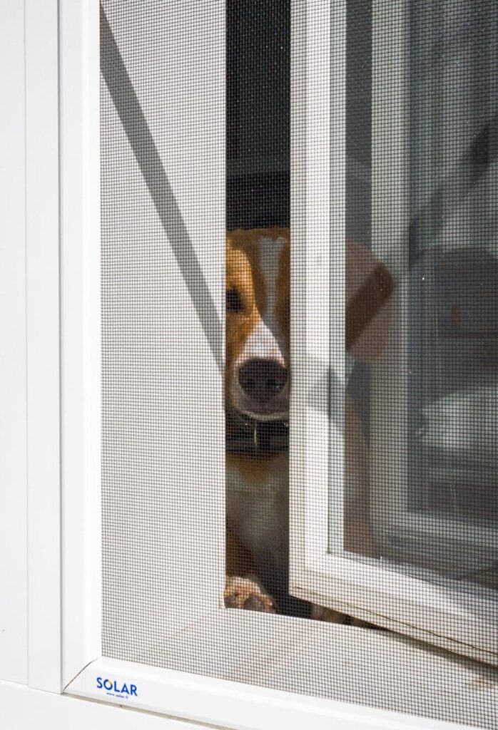 Solar hyttyspuitte valkoinen msea ikkunassa josta koira kurkkaa